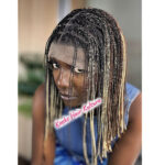 Blunt Cut Box Braid Wig - Multicolor Blend - Image 4