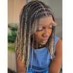 Blunt Cut Box Braid Wig - Multicolor Blend - Image 3