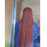 Adetola Mini Twist Braided Wig - Image 6